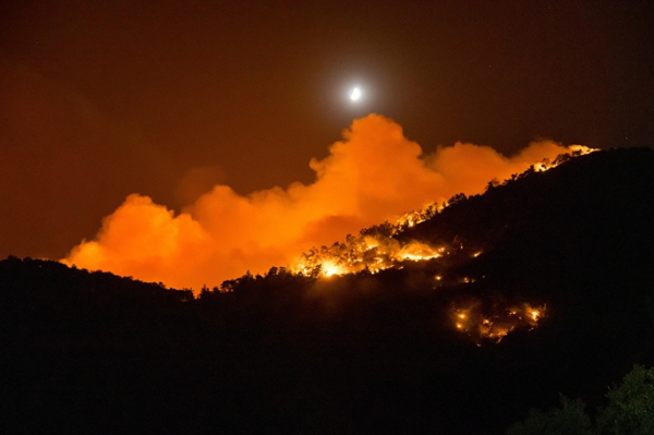Forest fire in NW Türkiye prompts partial closure of historic site Forest fire in NW Türkiye prompts partial closure of historic site