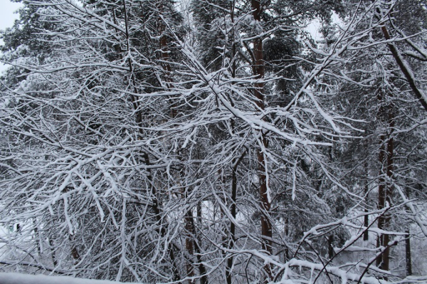 WMO forecasts weak La Nina in coming months WMO forecasts weak La Nina in coming months
