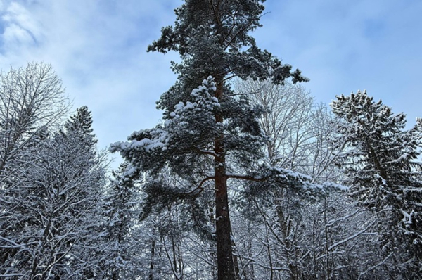Finland sees record warmest average temperature in March Finland sees record warmest average temperature in March