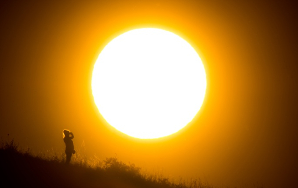 German institute estimates 5,100 heat-related deaths in June heatwave German institute estimates 5,100 heat-related deaths in June heatwave